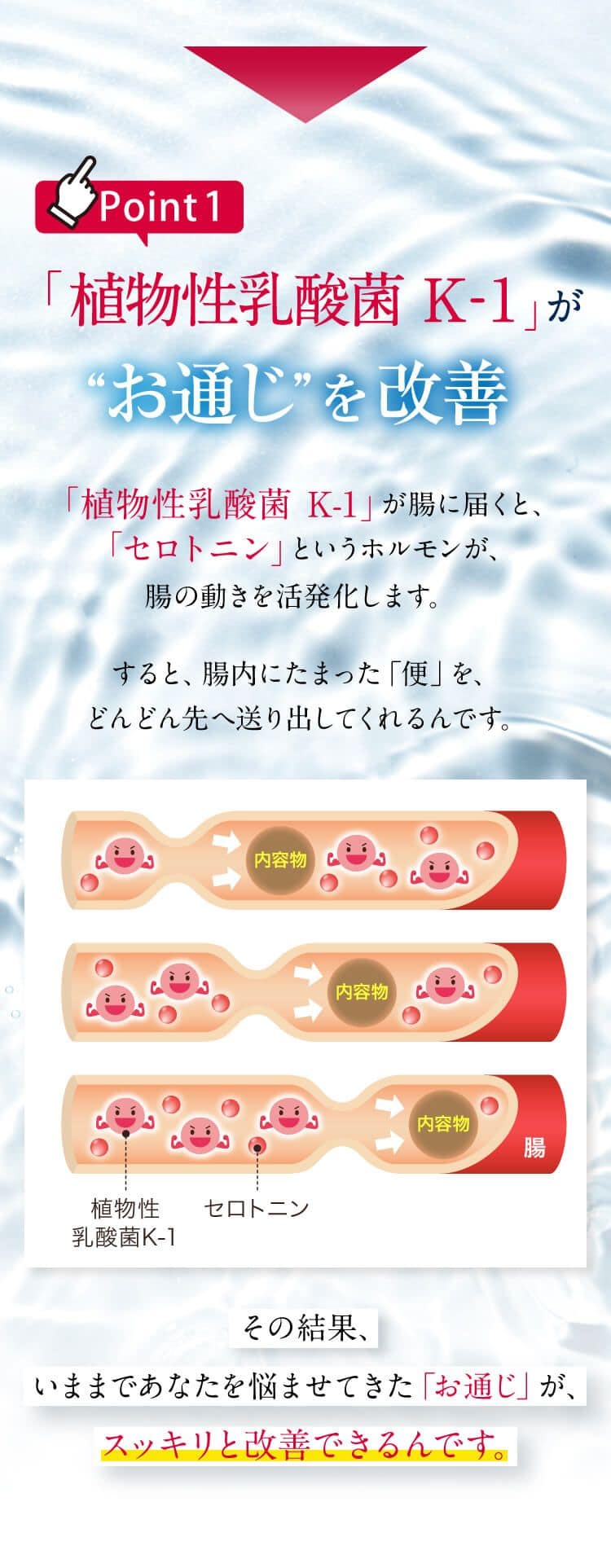 Point 1「植物性乳酸菌 K-1」が“お通じ”を改善「植物性乳酸菌 K-1」が腸に届くと、「セロトニン」というホルモンが、腸の動きを活発化します｡すると､腸内にたまった「便」を、どんどん先へ送り出してくれるんです。その結果、いままであなたを悩ませてきた「お通じ」が、スッキリと改善できるんです。