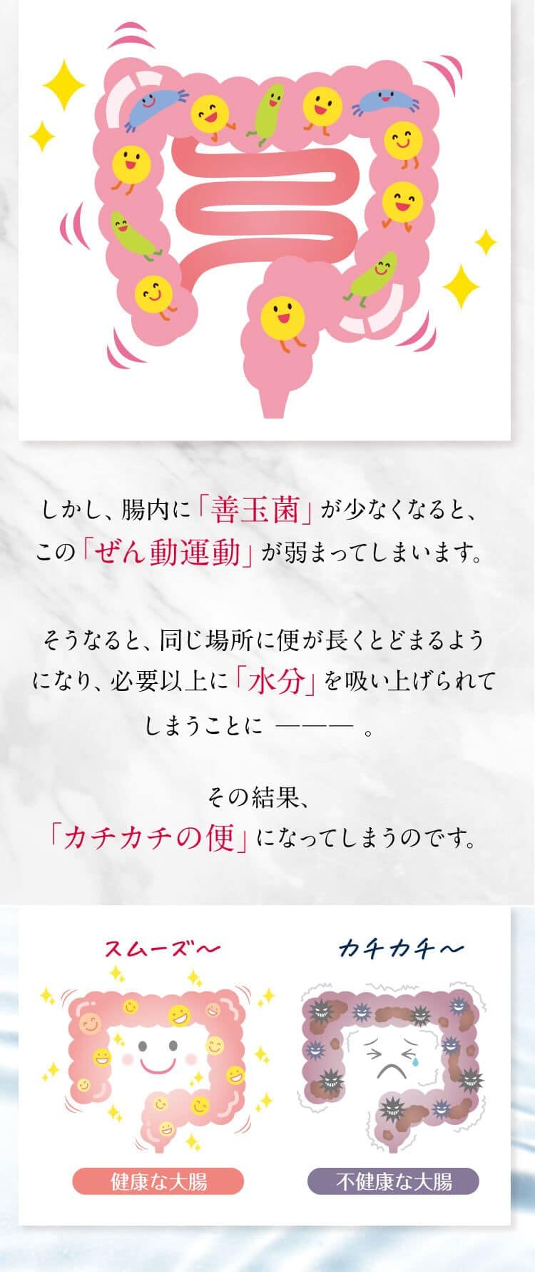 しかし、腸内に「善玉菌」が少なくなると、この 「ぜん動運動」が弱まってしまいます。そうなると、同じ場所に便が長くとどまるようになり、必要以上に 「水分」を吸い上げられてしまうことにその結果､「カチカチの便」になってしまうのです。