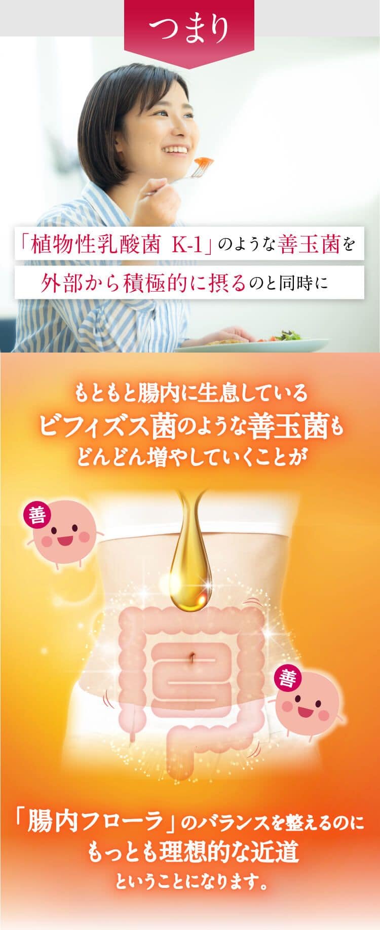 つまり「植物性乳酸菌 K-1」のような善玉菌を外部から積極的に摂るのと同時にもともと腸内に生息しているビフィズス菌のような善玉菌もどんどん増やしていくことが「腸内フローラ」のバランスを整えるのにもっとも理想的な近道ということになります。