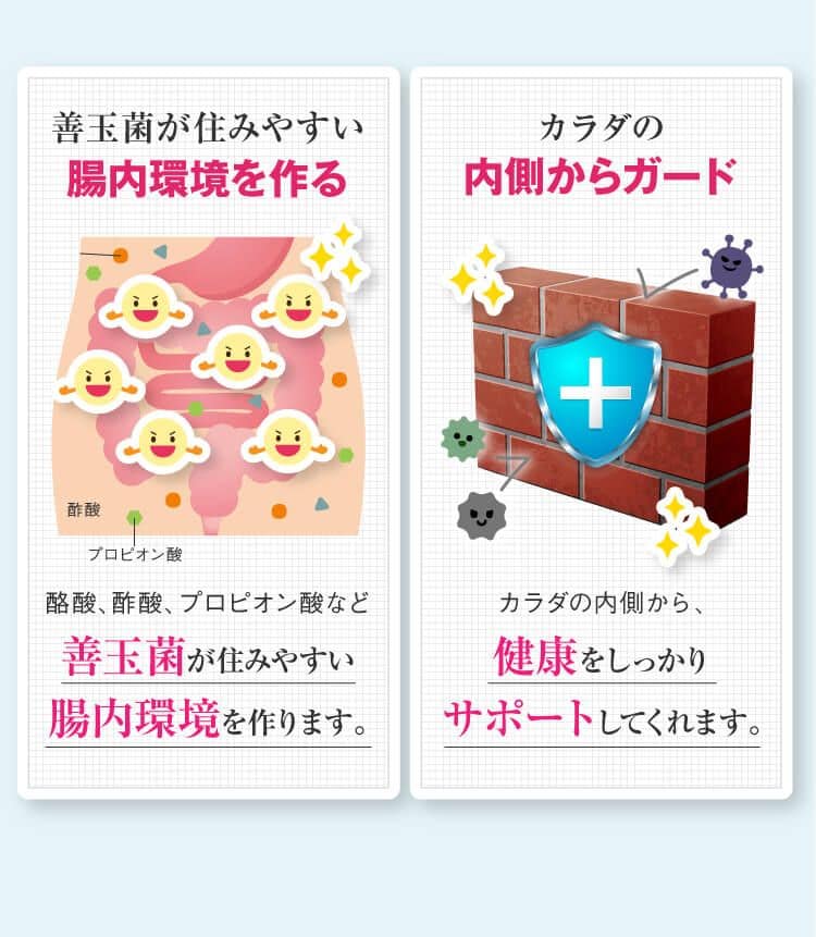 善玉菌が住みやすい腸内環境を作る
酢酸プロピオン酸酪酸、酢酸、 プロピオン酸など善玉菌が住みやすい腸内環境を作ります。カラダの内側からガードカラダの内側から、健康をしっかりサポートしてくれます。