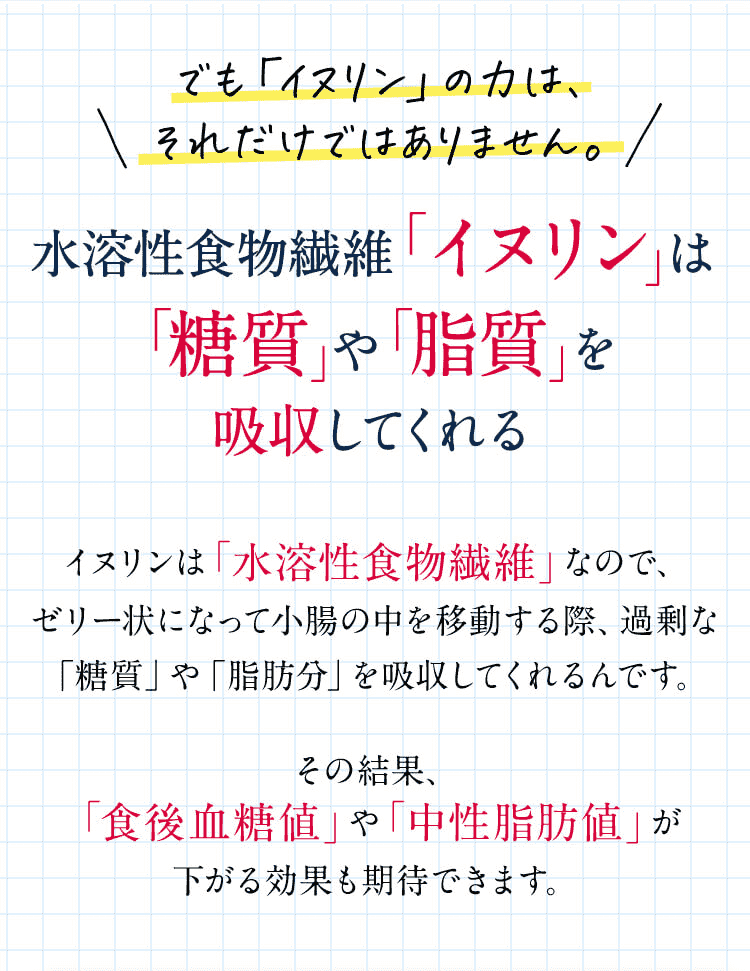 でも「イヌリン」の力は、それだけではありません。水溶性食物繊維 「イヌリン」は「糖質」や「脂質」を吸収してくれるイヌリンは 「水溶性食物繊維」 なので、ゼリー状になって小腸の中を移動する際、 過剰な「糖質」や「脂肪分」を吸収してくれるんです。その結果､
「食後血糖値」や 「中性脂肪値」が下がる効果も期待できます。